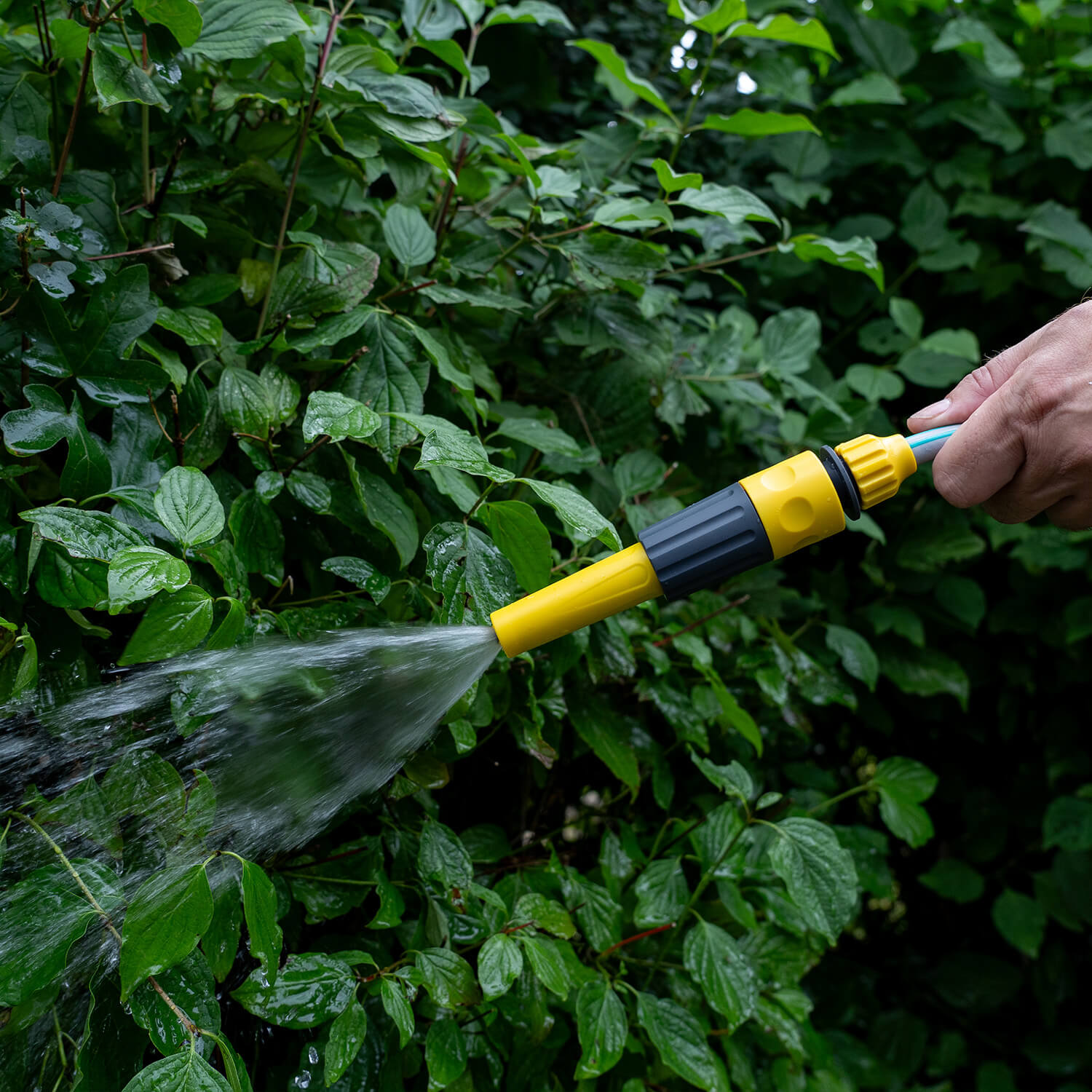 Maas AquaFlow 10 lightweight hose reel set - Haba