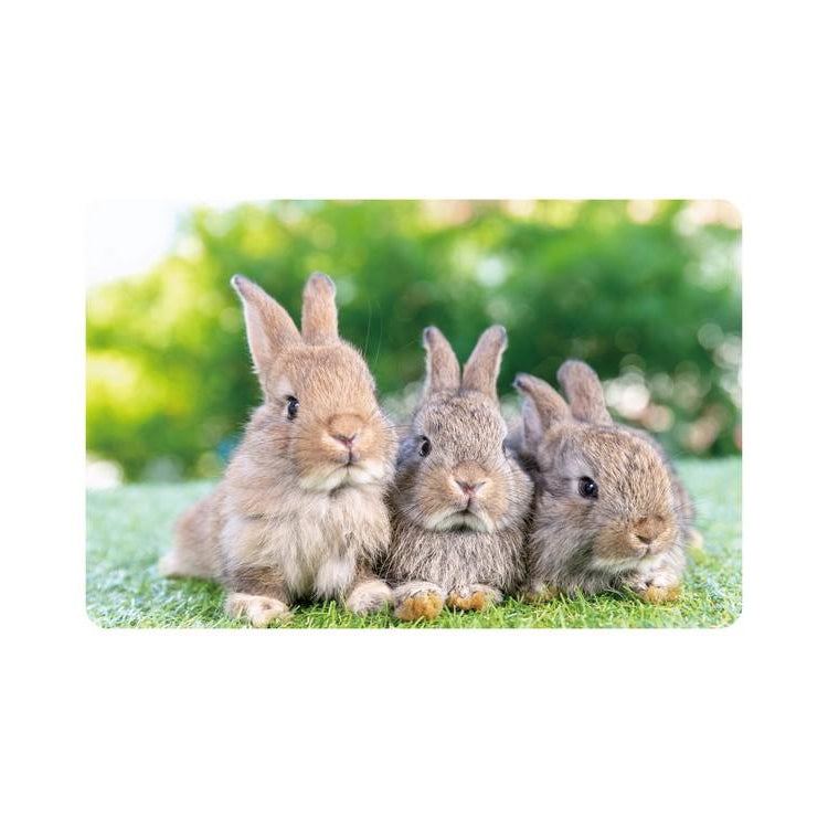 Placemat - PP printed - 28 5x43 5cm - 12pcs - Hoppy Place