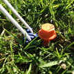 N schroefharingen 20 cm 12 stuks - Peggy Peg