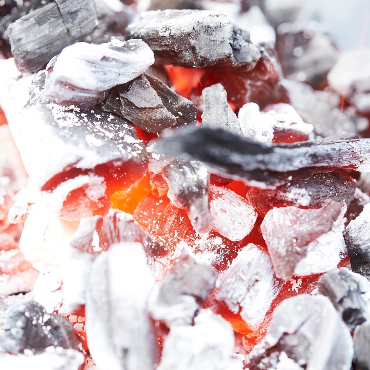 BBQ charcoal or briquettes starter in stainless steel with Safe Drop - Barbecook