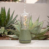 Humble One lamp moss overgoten met water in de tuin