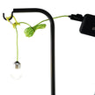 Lamp with USB connection Bolly - Human Comfort