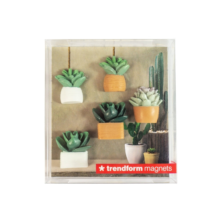 Set of 5 cactus magnets - Trendform