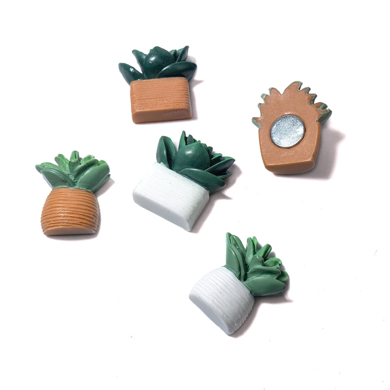 Set of 5 cactus magnets - Trendform