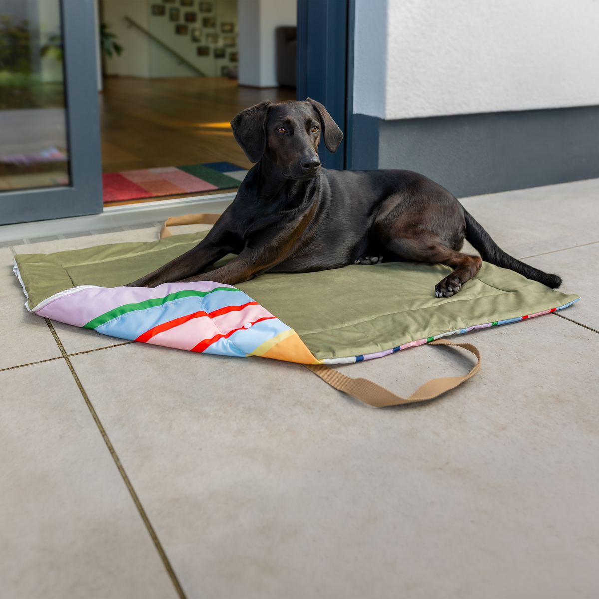 Outdoor-Hundedecke / Tragetasche – Ronja – Remember