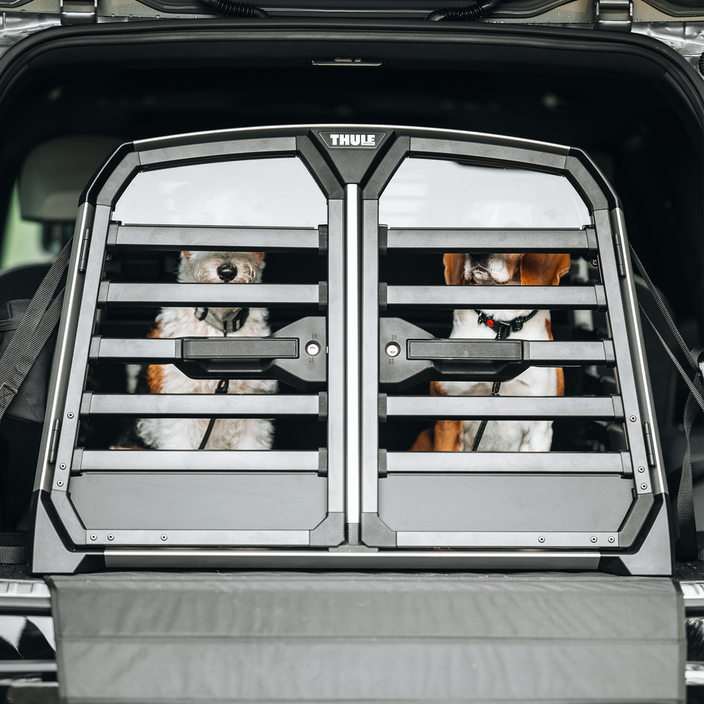Allax Double - Thule