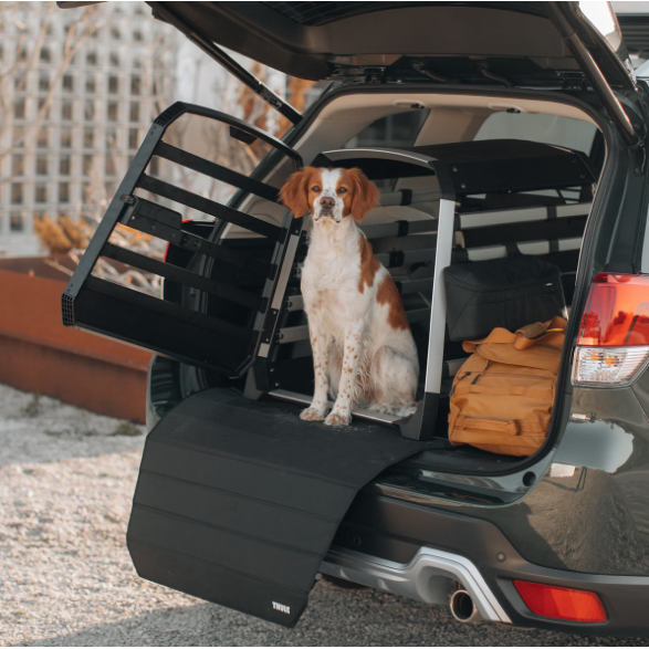 Allax Hundebox – Thule