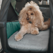 Hundebett für den Hundefahrradanhänger Bexey – Thule