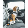 Honden harnas Cappy - Thule
