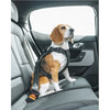 Honden harnas Cappy - Thule