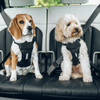 Honden harnas Cappy - Thule