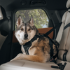 Honden harnas Cappy - Thule