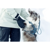 Honden harnas Dart - Thule
