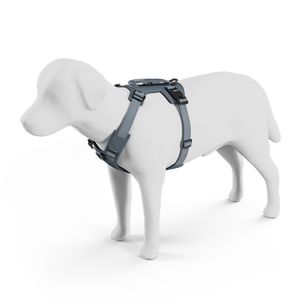 Honden harnas Dart - Thule