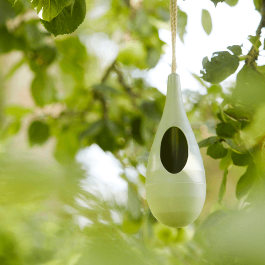 Voederhuisje voor vogels uit bamboe in druppelvorm groen hangend in een boom