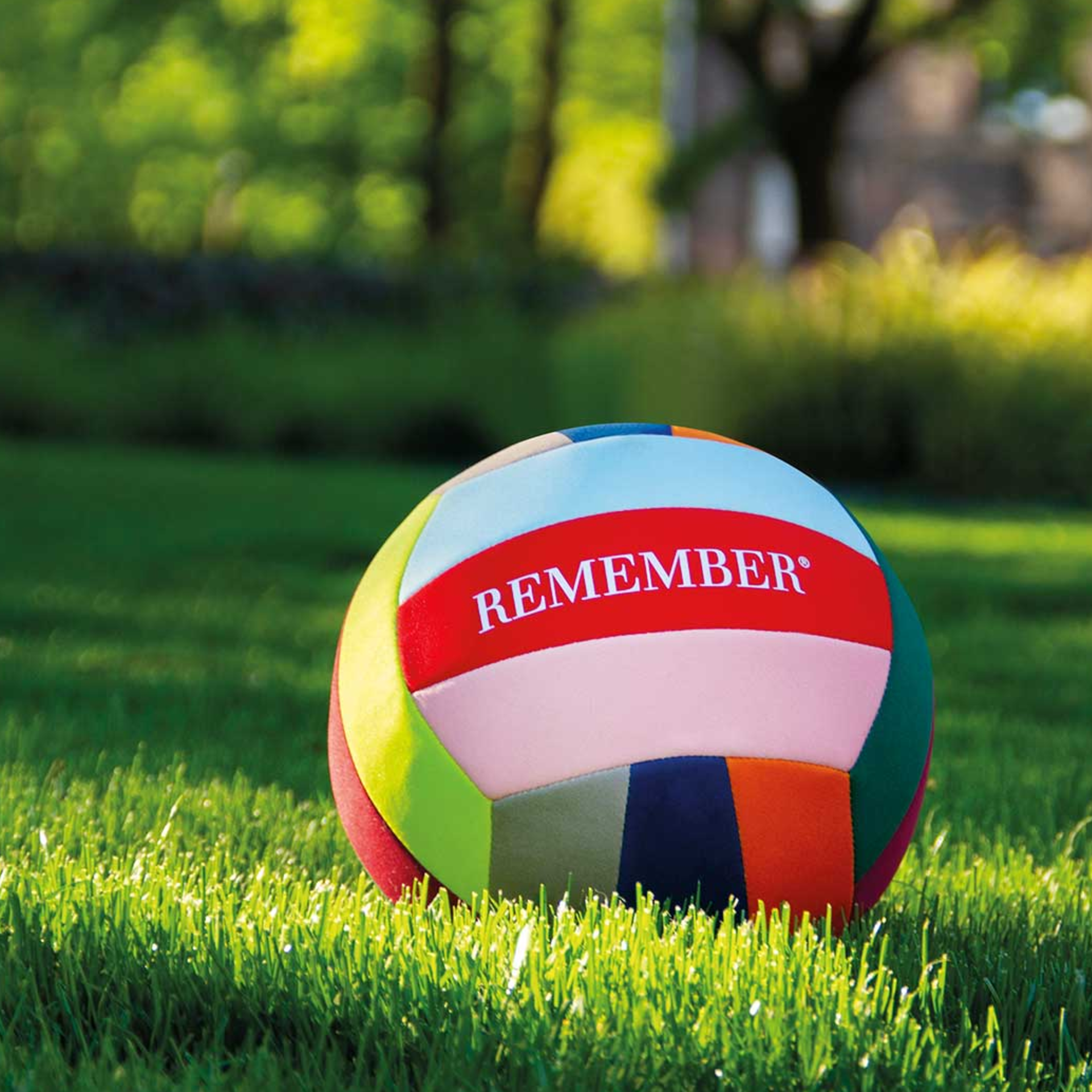 Volly-Ball-Remember